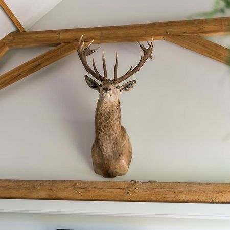 Hoeve De Zuidhoek Bruges Esterno foto