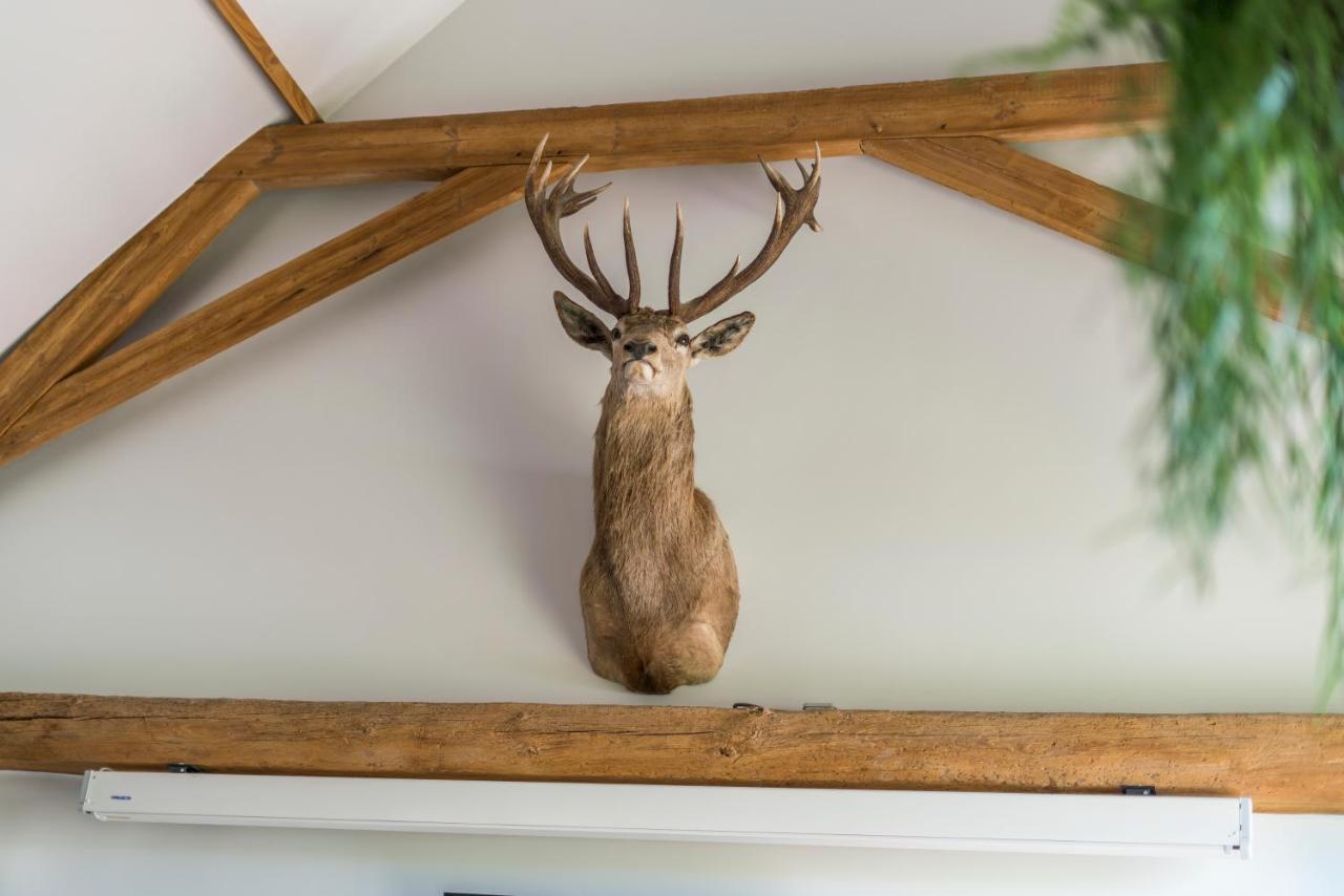 Hoeve De Zuidhoek Bruges Esterno foto